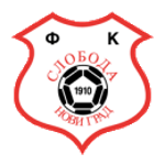 https://img.nxxtmc.com/img/football/team/b71b7bfab3d42c691e953977143504e5.png